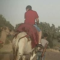 Nabil El Oua