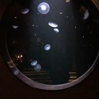 Miguel Angel Librero Almodovar