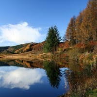 enero setenta y seis