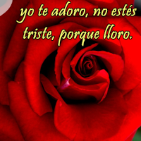 Elbia Chacon