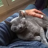 Javier Santos Novalbos