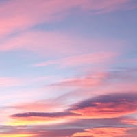 rosa maria prieto hernandez