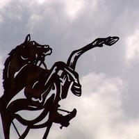 F. Eduardo Osorio C.