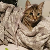 Maria Rosa Lopez Jareño