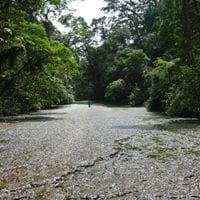 Carlos Ballena Contreras