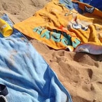 Jose Manuel Liñero Meana