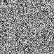 Fiorella Rizo Patron