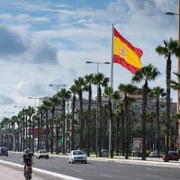 playmatoso playmatoso