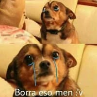 Josua Gomez