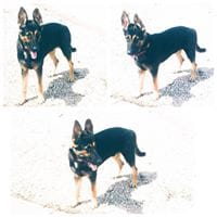 juan martinez garcia