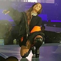 Arianator  Mendes