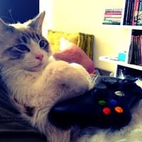 MaxiGames007