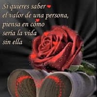 S.? Le.