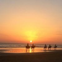 rafael blanco guillen