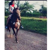 Dianis Salas
