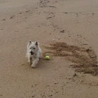 carmen sineiro cascallar