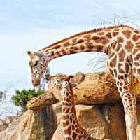 Samantha Elizabeth Hernandez Gomez