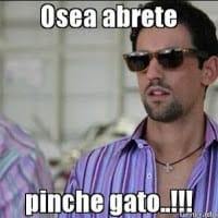 Alondra guadalupe  Luna Gomez