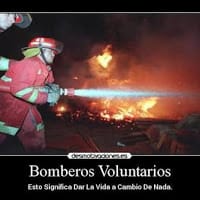 aramndo ismael vargas