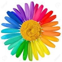 Maria del Mar Ramirez Garrido