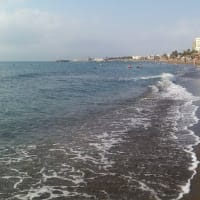 Juan Jesus Escobar Liñan