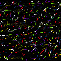 Lidia Alba Centeno Macedo