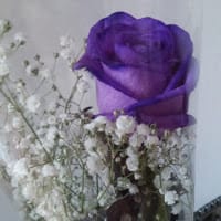 Ana Maria Guerrero Lozano