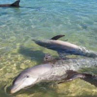 Veronica De las Casas