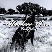 abraham arce gutierrez