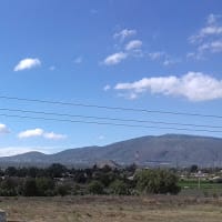 ELpantera somaqueraatencao