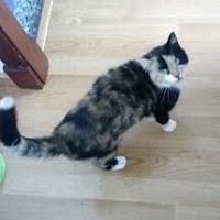 Nala Caballero Rodriguez