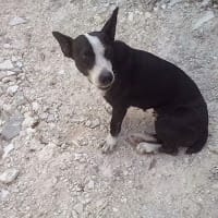 Ulises Rigoberto Vasquez Flota