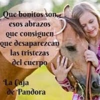sonia maribel huillca tapara