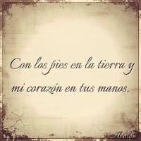 Suly P.S