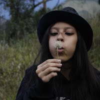 Vino Videos