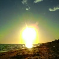 alicia raquel soto constenla