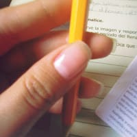 Constanza Guadalupe Pino Osorio