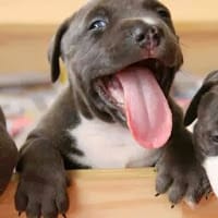 antonio angel medina ramirez