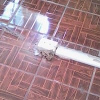 Fabiola Delgadillo Perez