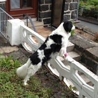 Carlos Seco de Lucena