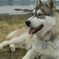 Maria Hernández Hernández