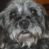 Mario Daniel Burgos Lopez