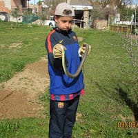 jose madruga ramos
