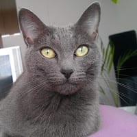 Vanesa M.