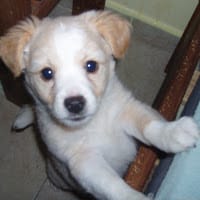 jose antonio gordo cuesta