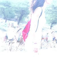 Carmen Cavadas Rodríguez