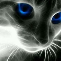 Maria Dominguez fernandez