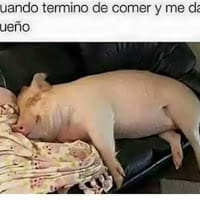 claudia andrea irarrazabal contreras