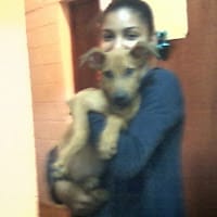 Flavia marissel nuñez espinal