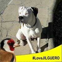 Vicente Enrique Lopez